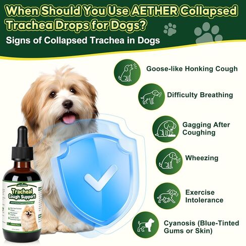 Trachea Cough Elixir, Collapsed Trachea Support for Dogs, Tracheal & Respiratory Airway Liquid, Dog Cough Relief Drops for Small Breeds, Natural Herbal Formula 2 fl oz Chicken Flavor in Kuwait
