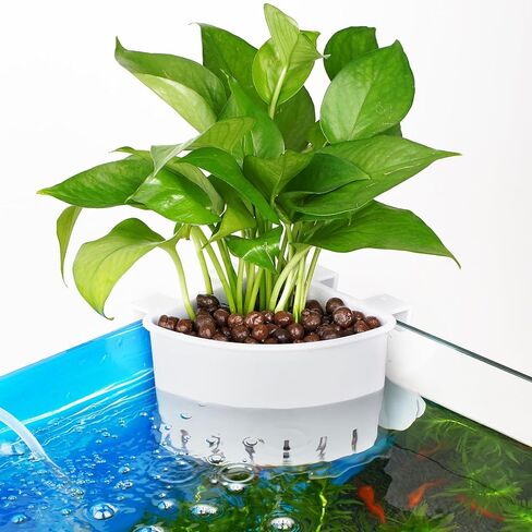 Borlech 2026 أحدث طراز كبير لحوض السمك الزاوية لزراعة النباتات المعلقة لخزان الأسماك وزراعة النباتات المائية وديكورات إكسسوارات Aquascape (عبوة من قطعتين) شفاف in Kuwait
