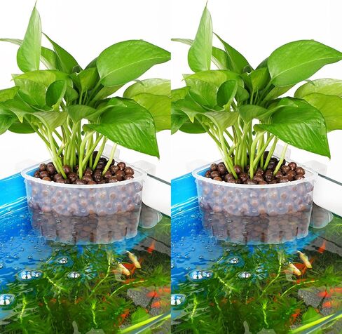 Borlech 2026 أحدث طراز كبير لحوض السمك الزاوية لزراعة النباتات المعلقة لخزان الأسماك وزراعة النباتات المائية وديكورات إكسسوارات Aquascape (عبوة من قطعتين) شفاف in Kuwait