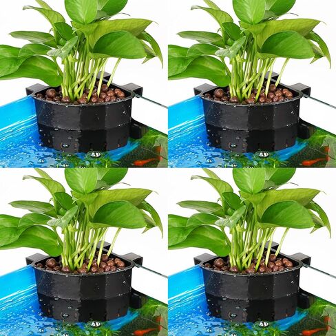 Borlech 2026 أحدث طراز كبير لحوض السمك الزاوية لزراعة النباتات المعلقة لخزان الأسماك وزراعة النباتات المائية وديكورات إكسسوارات Aquascape (عبوة من قطعتين) شفاف in Kuwait