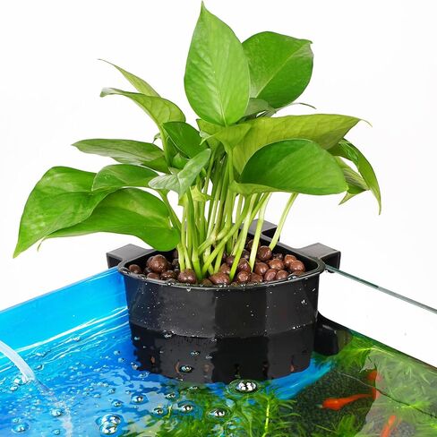 Borlech 2026 أحدث طراز كبير لحوض السمك الزاوية لزراعة النباتات المعلقة لخزان الأسماك وزراعة النباتات المائية وديكورات إكسسوارات Aquascape (عبوة من قطعتين) شفاف in Kuwait