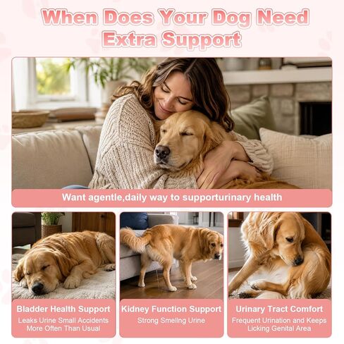 Dog UTI Treatment, Cranberry Supplement for Dogs, Urinary Tract & Bladder Incontinence Support with Natural Cranberry Extract & D-Mannose & UT Probiotics, Includes 10 Urine Test Strips, 120 Chews in Kuwait