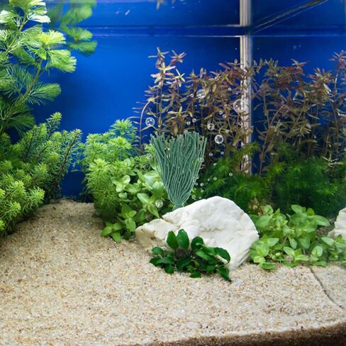 KESYOO 10Pcs Aquarium Spawning Mops for Fish and Shrimp Breeding Floating Hiding Grass for Fish Tank Decor and Shrimp Shelter in Kuwait