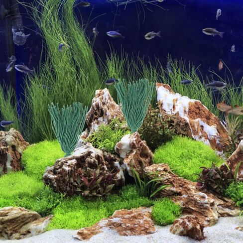 KESYOO 10Pcs Aquarium Spawning Mops for Fish and Shrimp Breeding Floating Hiding Grass for Fish Tank Decor and Shrimp Shelter in Kuwait