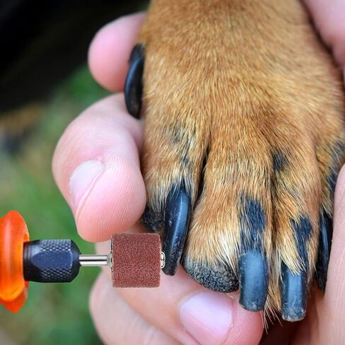 26 Pack Nail Grinder for Dogs Replacement Kit Pet Nail Grinder Replacement Kit with Grit Sanding Bands Pet Smoother Claw Care Dog Claw Grooming Supplies(80#/120#) in Kuwait