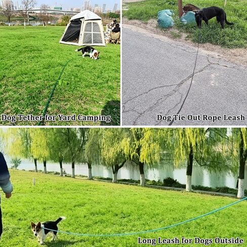 حبل ربط عاكس للضوء من WYuZe للكلاب الصغيرة، حبل للكلاب في الهواء الطلق بطول 10/15/20/25/30 قدمًا للتدريب في الفناء واللعب والتخييم، مقود طويل خفيف الوزن للقطط (20 قدمًا، أسود) in Kuwait