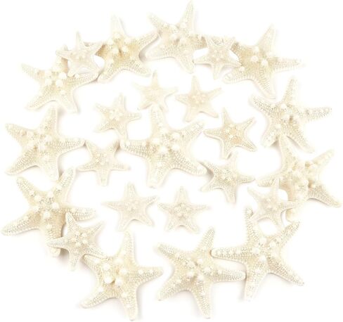 Jangostor 24 PCS White Knobby Starfish, Mixed Sizes 1" to 3", Nautical & Wedding Decor, DIY Crafts, Fish Tank Ornaments in Kuwait