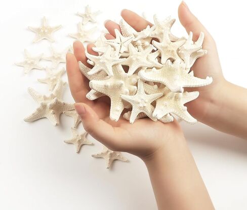 Jangostor 24 PCS White Knobby Starfish, Mixed Sizes 1" to 3", Nautical & Wedding Decor, DIY Crafts, Fish Tank Ornaments in Kuwait