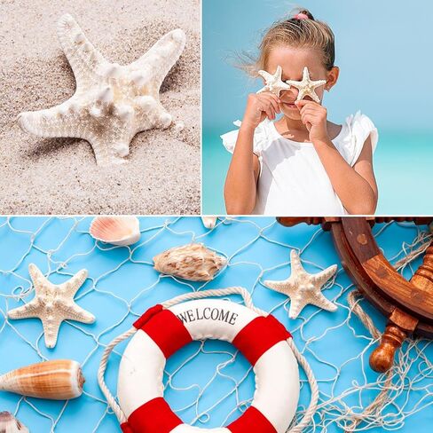 Jangostor 24 PCS White Knobby Starfish, Mixed Sizes 1" to 3", Nautical & Wedding Decor, DIY Crafts, Fish Tank Ornaments in Kuwait