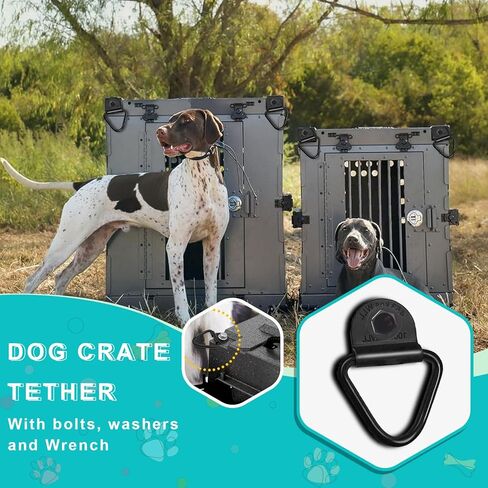 4 Pack Heavy Duty Tie Down Kit for Ruffland Kennels, 1000LB Load Capacity D-Ring Securing System with Bolts and Wrench for Easy Vehicle Installation in Kuwait