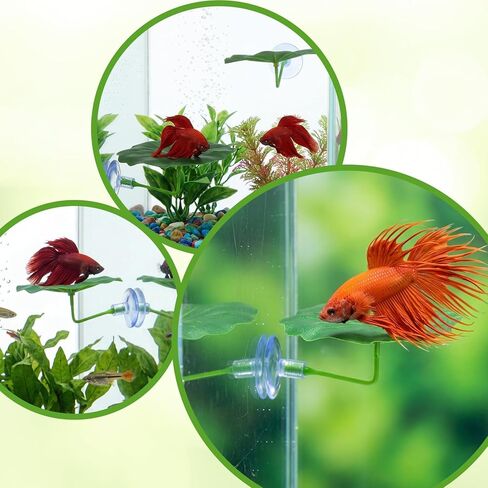 Nogeqi 3 Pcs Betta Leaf Hammock, Betta Fish Leaf Hammock Soft Aquarium Decor Plastic Plants, Fish Tank Decoration for Sleeping Resting Hiding Playing in Kuwait
