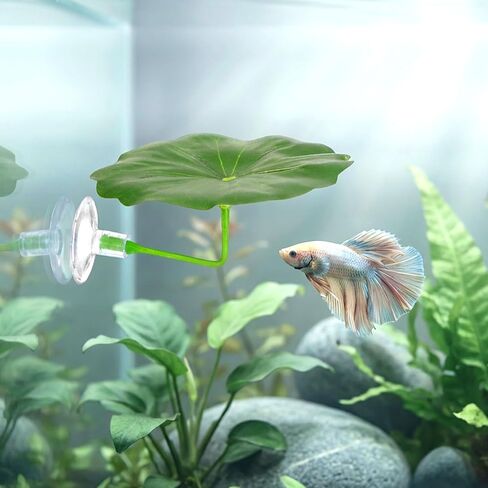 Nogeqi 3 Pcs Betta Leaf Hammock, Betta Fish Leaf Hammock Soft Aquarium Decor Plastic Plants, Fish Tank Decoration for Sleeping Resting Hiding Playing in Kuwait