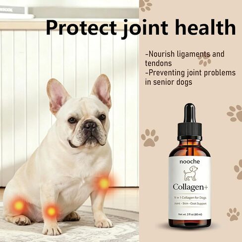 Nooche Collagen Drops للكلاب، مكمل كولاجين متطور 9 في 1، يدعم صحة المفاصل والجلد والفرو ومفاصل الورك والحركة - 2 أونصة سائلة (60 مل) in Kuwait