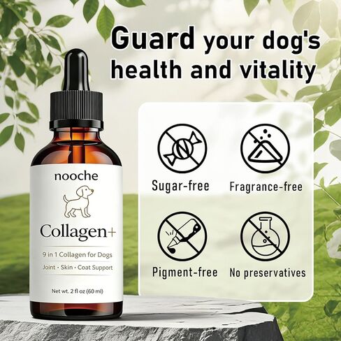 Nooche Collagen Drops للكلاب، مكمل كولاجين متطور 9 في 1، يدعم صحة المفاصل والجلد والفرو ومفاصل الورك والحركة - 2 أونصة سائلة (60 مل) in Kuwait