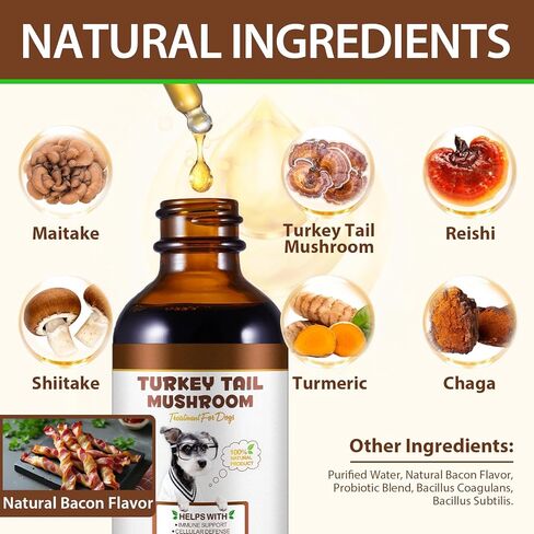 Turkey Tail Mushroom for Dogs, Dog Mushroom Supplement, Mushroom Drops for Dogs, Support Immune Health, Digestive & Joint Mobility, Wild Mushroom Supplement for Dog, Easy to Absorbed 2 fl oz in Kuwait