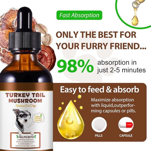 Turkey Tail Mushroom for Dogs, Dog Mushroom Supplement, Mushroom Drops for Dogs, Support Immune Health, Digestive & Joint Mobility, Wild Mushroom Supplement for Dog, Easy to Absorbed 2 fl oz in Kuwait