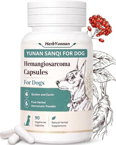 Yun nan Sanqi Capsules for Dogs - Pure Root Powder with Ajuga for Hemangiosarcoma, Hemoabdomen, Pericardial Effusion, Ulcer-Related Bleeding, Cancer Bleeding, Severe Bruising - 90 Capsules in Kuwait