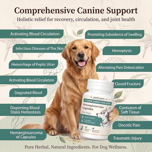 Yun nan Sanqi Capsules for Dogs - Pure Root Powder with Ajuga for Hemangiosarcoma, Hemoabdomen, Pericardial Effusion, Ulcer-Related Bleeding, Cancer Bleeding, Severe Bruising - 90 Capsules in Kuwait