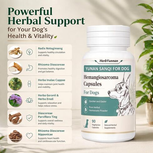 Yun nan Sanqi Capsules for Dogs - Pure Root Powder with Ajuga for Hemangiosarcoma, Hemoabdomen, Pericardial Effusion, Ulcer-Related Bleeding, Cancer Bleeding, Severe Bruising - 90 Capsules in Kuwait
