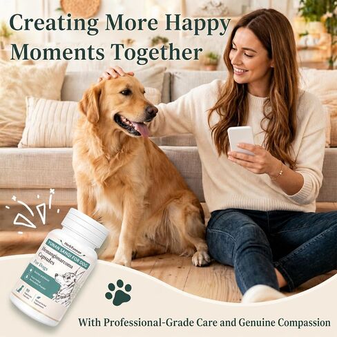 Yun nan Sanqi Capsules for Dogs - Pure Root Powder with Ajuga for Hemangiosarcoma, Hemoabdomen, Pericardial Effusion, Ulcer-Related Bleeding, Cancer Bleeding, Severe Bruising - 90 Capsules in Kuwait