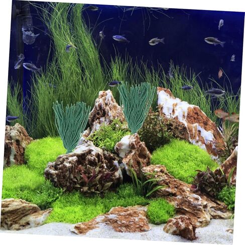 BESPORTBLE 10pcs Fish Breeding Spawning Mops Aquarium Plants for Fish Hiding and Climbing Natural Habitat Simulation Decorative Green Grass Shrimp Accessories in Kuwait