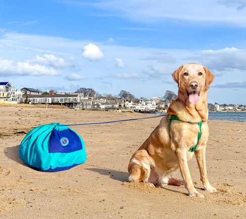 Dog Anchor™ - The World's Lightest Dog Tie-Out - Designed for the Beach - Stress-Free time Together - Fits All Breeds in Kuwait