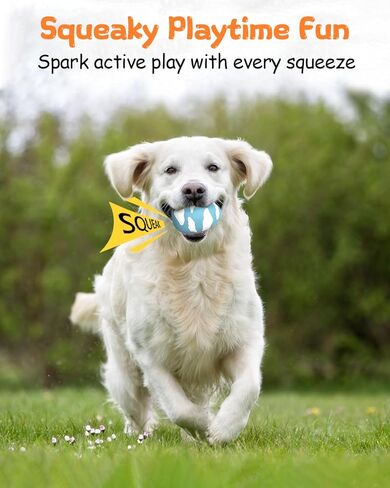SCHITEC Squeaky Dog Toys for Aggressive Chewers, Tough Rubber Bouncy Balls for Boredom, Durable Pet Chew Toy Ball for Large Medium Breed Dogs (3.4 * 4.5inch) in Saudi Arabia