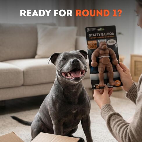لعبة الكلب Chewzilla Balboa للكلاب من HAPPY STAFFY - نايلون ToughTech™ فائق القوة للمضغين العدوانيين - شديدة التحمل وغير سامة - معتمدة للمضغ القوي - للكلاب المتوسطة إلى الكبيرة، والموظفين، وبيت بولز in Kuwait