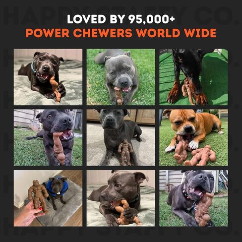 لعبة الكلب Chewzilla Balboa للكلاب من HAPPY STAFFY - نايلون ToughTech™ فائق القوة للمضغين العدوانيين - شديدة التحمل وغير سامة - معتمدة للمضغ القوي - للكلاب المتوسطة إلى الكبيرة، والموظفين، وبيت بولز in Kuwait