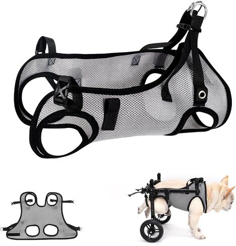Dog Wheelchair for Back Legs, Light Weight Dog Wheelchair Cart with Disabled Hind Legs Walking, Adjustable in Kuwait