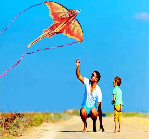 SNJOYFUL Butterfly Kite for Kids & Adults Easy to Fly, Large Kite for The Beach, Easy Flying Single Line Kite, Come with 4 Long Tail and 300 FT String Kite Handle in Saudi Arabia