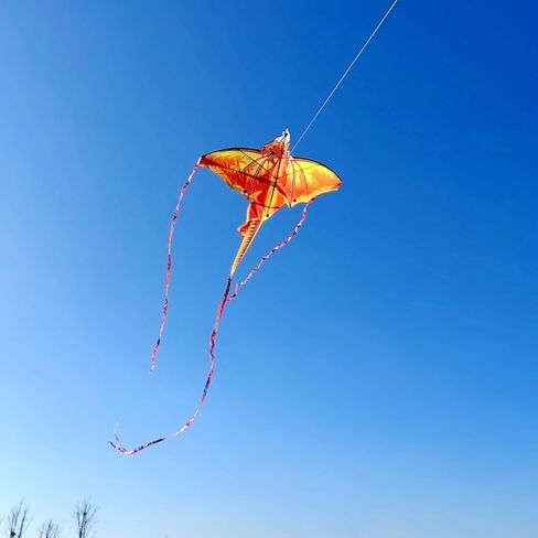 SNJOYFUL Butterfly Kite for Kids & Adults Easy to Fly, Large Kite for The Beach, Easy Flying Single Line Kite, Come with 4 Long Tail and 300 FT String Kite Handle in Saudi Arabia