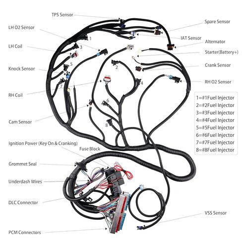 T56 DBC Engine Standalone Wiring Harness Fit for 1997-2006 700R4 T56 TH400 TH350 200-4R or Non-Electric Transmission Wire LS1 Engines 4.8 5.3 6.0 Vortec Drive by Cable EV1 Fuel injectors in Saudi Arabia