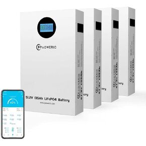 12V 300Ah LiFePO4 Lithium Battery with 200A BMS, 3840WH, 10000+ Cycles, Compact Lithium Iron Phosphate Battery for Solar, RV, Home Energy Storage in Saudi Arabia