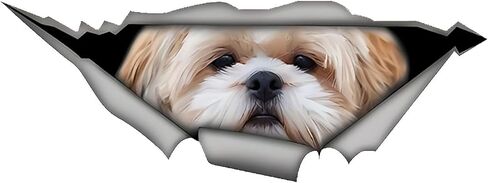EARLFAMILY 5.1‘’ for Shih tzu 3D Car Sticker Funny Pet Dog Decal Creative Torn Metal Modified Stickers Waterproof Car Styling Decoration Waterproof in Saudi Arabia