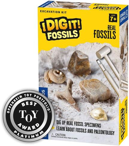 Thames & Kosmos I Dig It! Rocks - Real Minerals Excavation Kit | Science Kit | Dig Up Real Mineral Specimens | Learn About Mineralogy & Geology | 2018 Oppenheim Toy Portfolio Platinum Award Winner in Kuwait