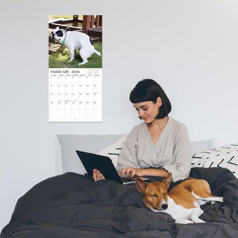 Gag Gifts - 2024 Wall Calendar, White Elephants Pooping Dogs, 2024 Calendar from Jan.2024 to Dec.2024, 12 Monthly Calendar Planner, Wall Calendar 2024, Funny Calendar for Family, Friends in Saudi Arabia