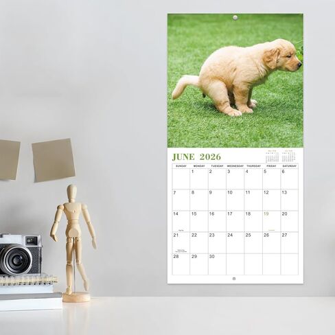 Gag Gifts - 2024 Wall Calendar, White Elephants Pooping Dogs, 2024 Calendar from Jan.2024 to Dec.2024, 12 Monthly Calendar Planner, Wall Calendar 2024, Funny Calendar for Family, Friends in Saudi Arabia