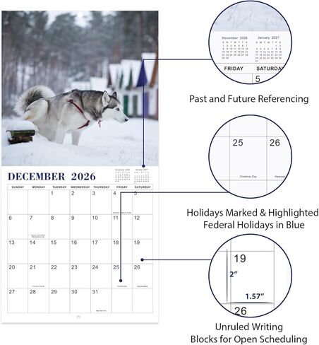 Gag Gifts - 2024 Wall Calendar, White Elephants Pooping Dogs, 2024 Calendar from Jan.2024 to Dec.2024, 12 Monthly Calendar Planner, Wall Calendar 2024, Funny Calendar for Family, Friends in Saudi Arabia