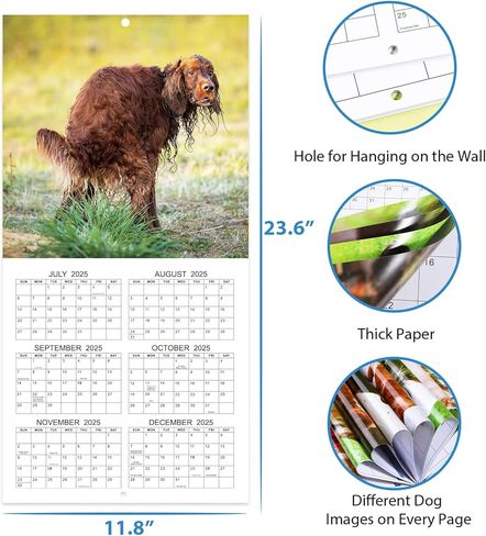 Gag Gifts - 2024 Wall Calendar, White Elephants Pooping Dogs, 2024 Calendar from Jan.2024 to Dec.2024, 12 Monthly Calendar Planner, Wall Calendar 2024, Funny Calendar for Family, Friends in Saudi Arabia
