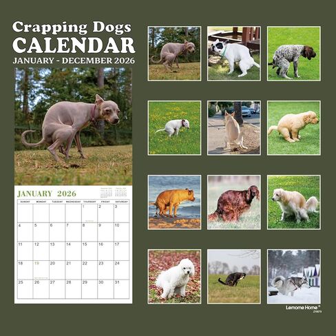 Gag Gifts - 2024 Wall Calendar, White Elephants Pooping Dogs, 2024 Calendar from Jan.2024 to Dec.2024, 12 Monthly Calendar Planner, Wall Calendar 2024, Funny Calendar for Family, Friends in Saudi Arabia