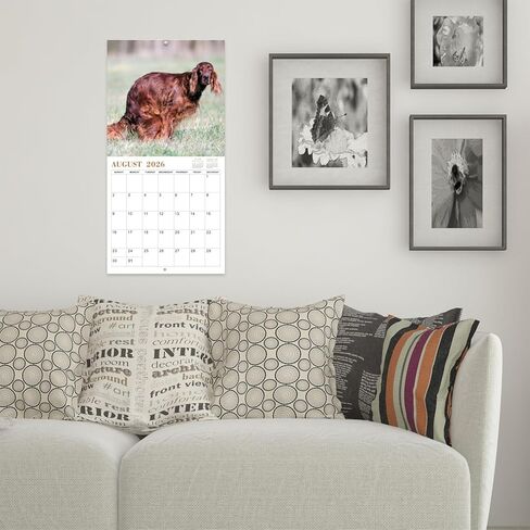 Gag Gifts - 2024 Wall Calendar, White Elephants Pooping Dogs, 2024 Calendar from Jan.2024 to Dec.2024, 12 Monthly Calendar Planner, Wall Calendar 2024, Funny Calendar for Family, Friends in Saudi Arabia