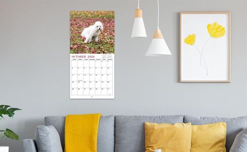 Gag Gifts - 2024 Wall Calendar, White Elephants Pooping Dogs, 2024 Calendar from Jan.2024 to Dec.2024, 12 Monthly Calendar Planner, Wall Calendar 2024, Funny Calendar for Family, Friends in Saudi Arabia