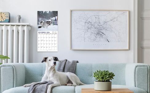 Gag Gifts - 2024 Wall Calendar, White Elephants Pooping Dogs, 2024 Calendar from Jan.2024 to Dec.2024, 12 Monthly Calendar Planner, Wall Calendar 2024, Funny Calendar for Family, Friends in Saudi Arabia
