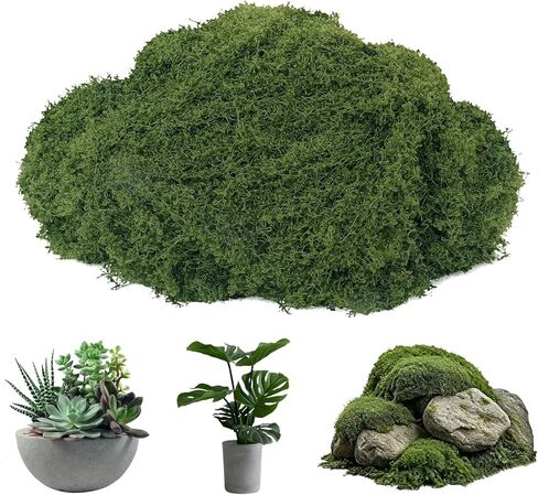Moss Preserved, Craft Reindeer Green Decorative Moss for Enchanted Forest Decorations, Fairy Garden, Party, Art Wall, Indoor Potted Plants,Table, Terrariums, Bonsai Decor (2Green,3.6OZ) in Saudi Arabia