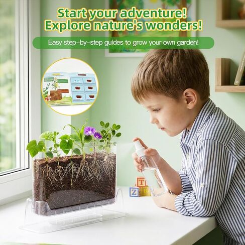 TitaniX Root Viewer Kit for Kids with 6 Seed Varieties, STEM Science Toy & Craft Growing Kits for Boys & Girls, Grow Your Own Plant for Ages 4-8 Birthday Gifts for Boy,4, 5, 6, 7, 8, Year Old in Kuwait