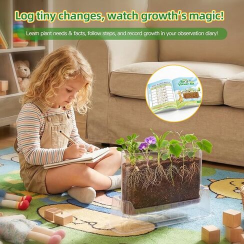 TitaniX Root Viewer Kit for Kids with 6 Seed Varieties, STEM Science Toy & Craft Growing Kits for Boys & Girls, Grow Your Own Plant for Ages 4-8 Birthday Gifts for Boy,4, 5, 6, 7, 8, Year Old in Kuwait