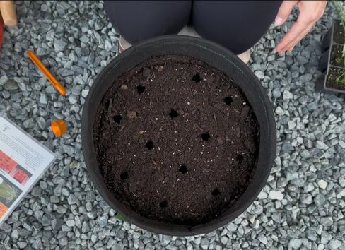 مجموعة أدوات البستنة للأطفال + دائرة البذر وحزمة مربعة البذر - طقم حديقة للأطفال مع قوالب زراعة سهلة للأسرة والحاويات in Kuwait