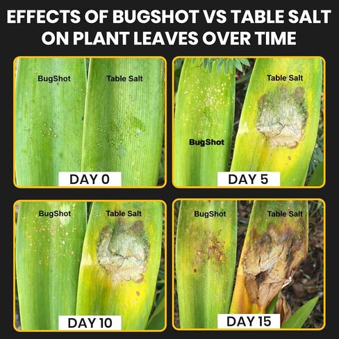 BugShot - Non-Salt Bug Ammo – Made in USA - No Jamming, Instant Refill, No Residue - Compatible with Salt Guns. in Kuwait