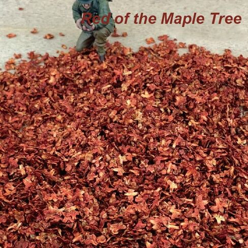 Realistic Miniature Leaves Scatter, 4 Colors, 36ml Each – Model Tree Foliage for Diorama, Model Train Scenery & Wargame Terrain in Kuwait